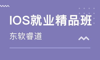 成都IOS就业精品班价格 软件开发培训哪家好 成都东软睿道 淘学培训