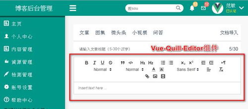 vue实战 vue quill editor富文本编辑器使用 许昌鲤鱼it编程教育软件开发培训