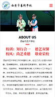 西安市艺术学校 教育院校 案例展示 硅峰网络 网站设计 软件开发 微信建设,西安最专业的企业信息化建设网络公司