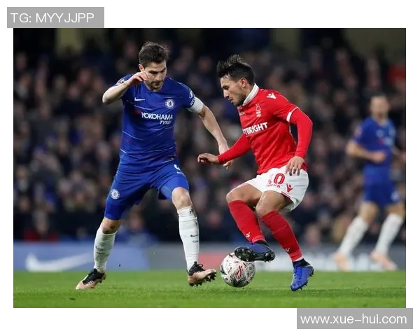 足球明星加尔的职业生涯与成就解析及其对足球的影响