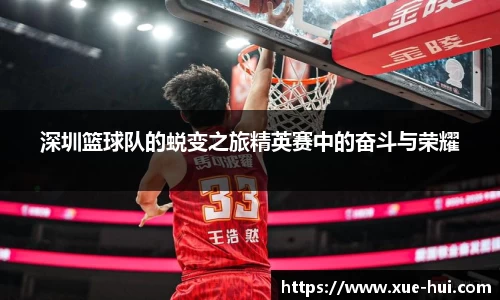 深圳篮球队的蜕变之旅精英赛中的奋斗与荣耀