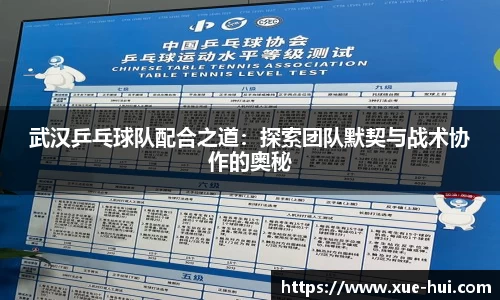 武汉乒乓球队配合之道：探索团队默契与战术协作的奥秘