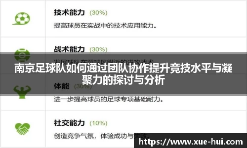 南京足球队如何通过团队协作提升竞技水平与凝聚力的探讨与分析