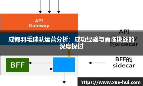 成都羽毛球队运营分析：成功经验与面临挑战的深度探讨