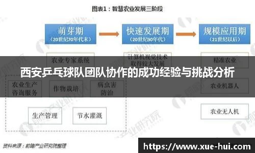 西安乒乓球队团队协作的成功经验与挑战分析