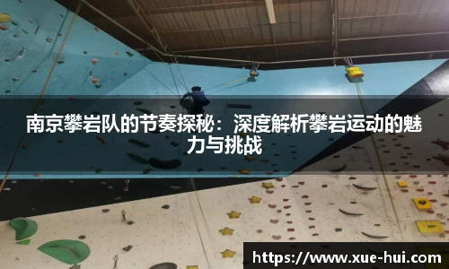 南京攀岩队的节奏探秘：深度解析攀岩运动的魅力与挑战