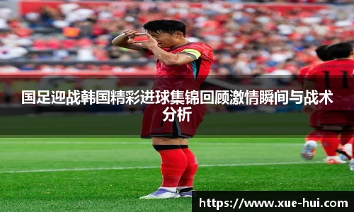 333体育专属指南