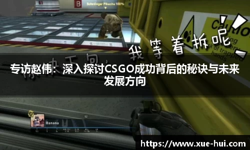 333体育专属指南